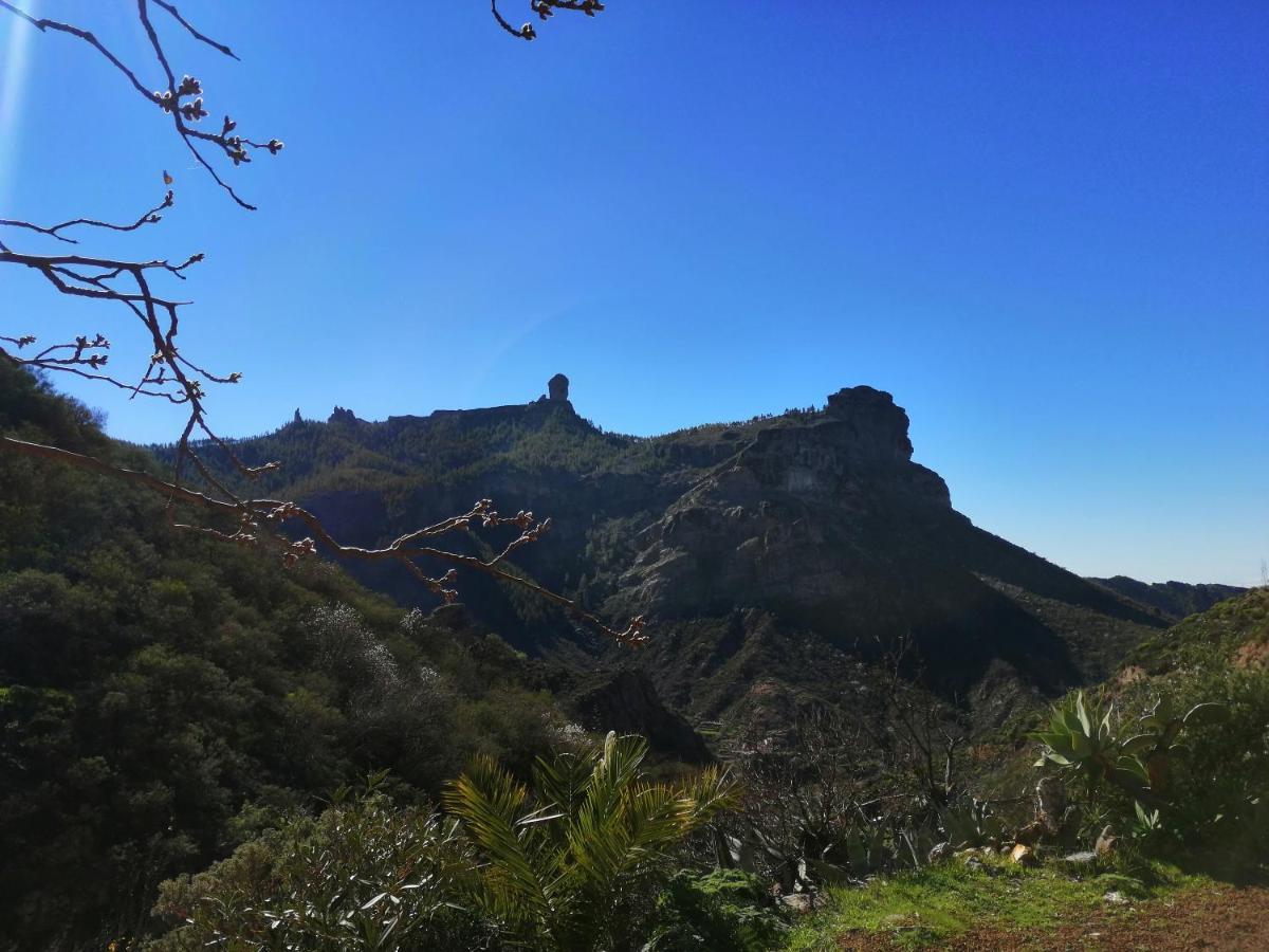 Casa Los Manantiales Tejeda  Dış mekan fotoğraf